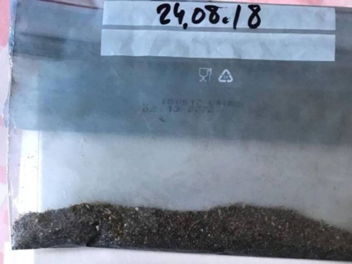 "Para que el polvo negro afectara a la salud, habría que comérselo"