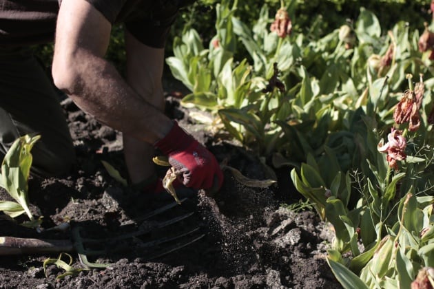 Miguel es uno de los jardineros que sigue trabajando estos días en el jardín