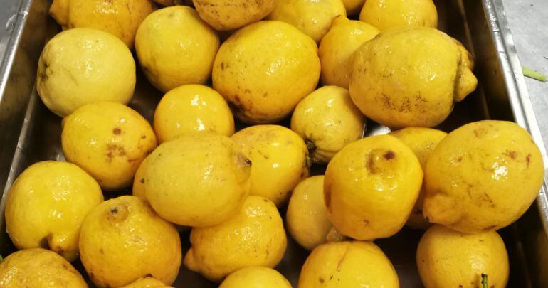 Estado de los limones que se están utilizando en los hospitales del Complejo Hospitalario