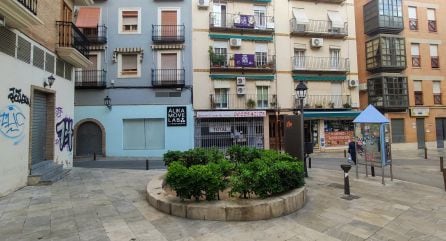 Jardín en el que se encontraba la palmera de la calle Martínez Molina.