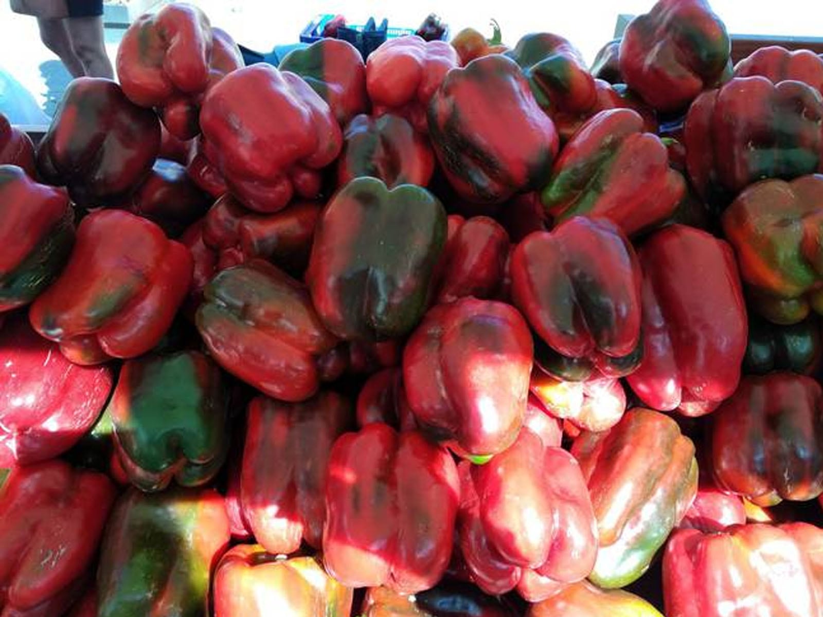 Pimientos de Fresno-Benavente en un stand de la feria