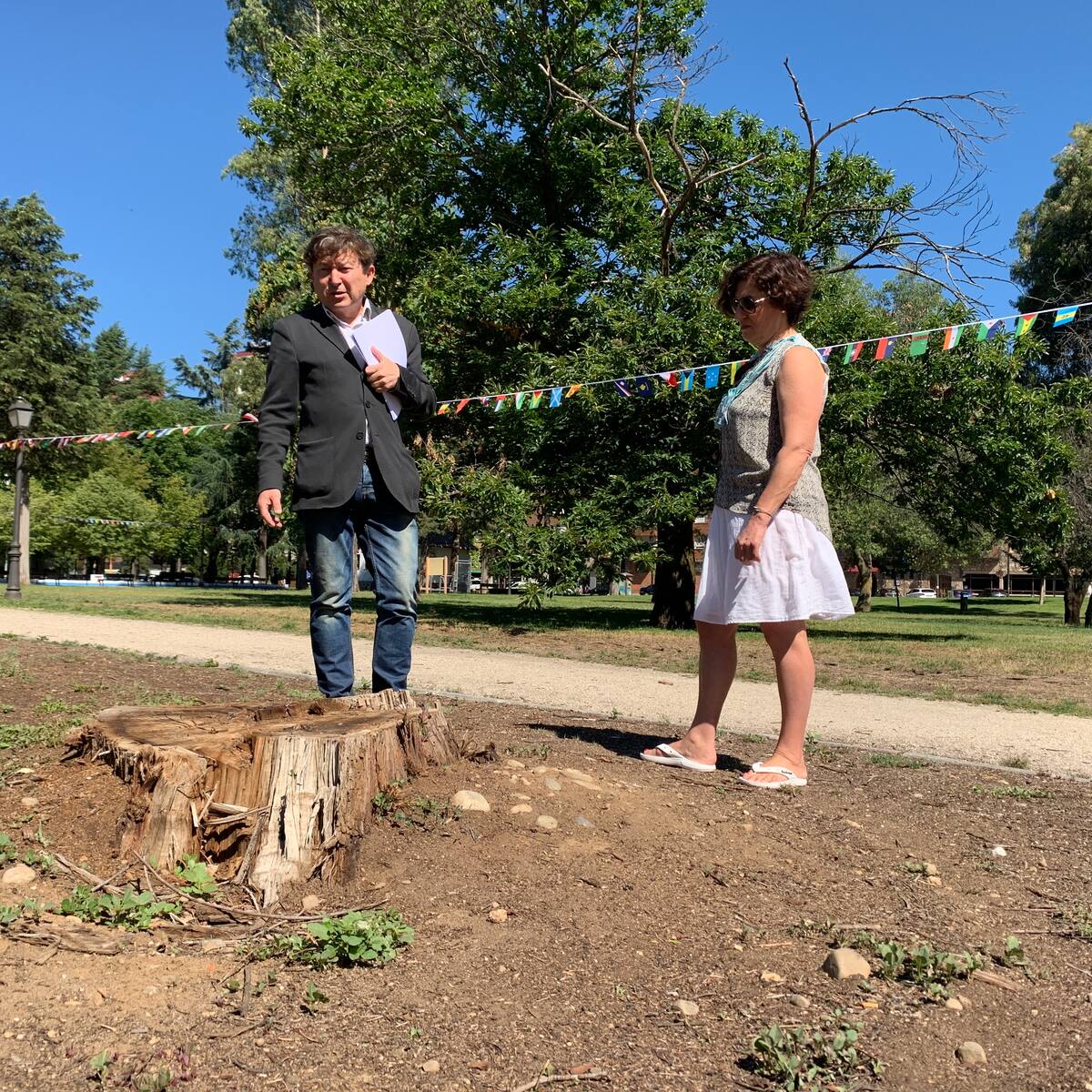 Folgueral acusa al alcalde de utilizar políticas de "favela" y "arboricidas"