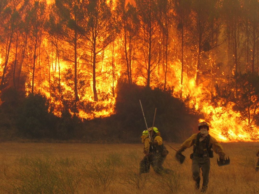 Una foto de archivo de la Brigada de Lucha contra Incendios Forestales del MITECO luchando contra un incendio forestal. 
 
 
 