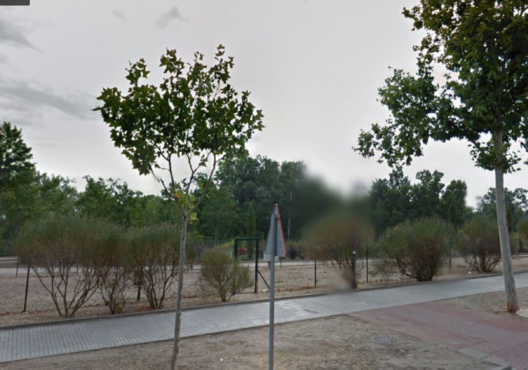 El del parque Allendeduero es uno de los pipicanes que tiene Aranda