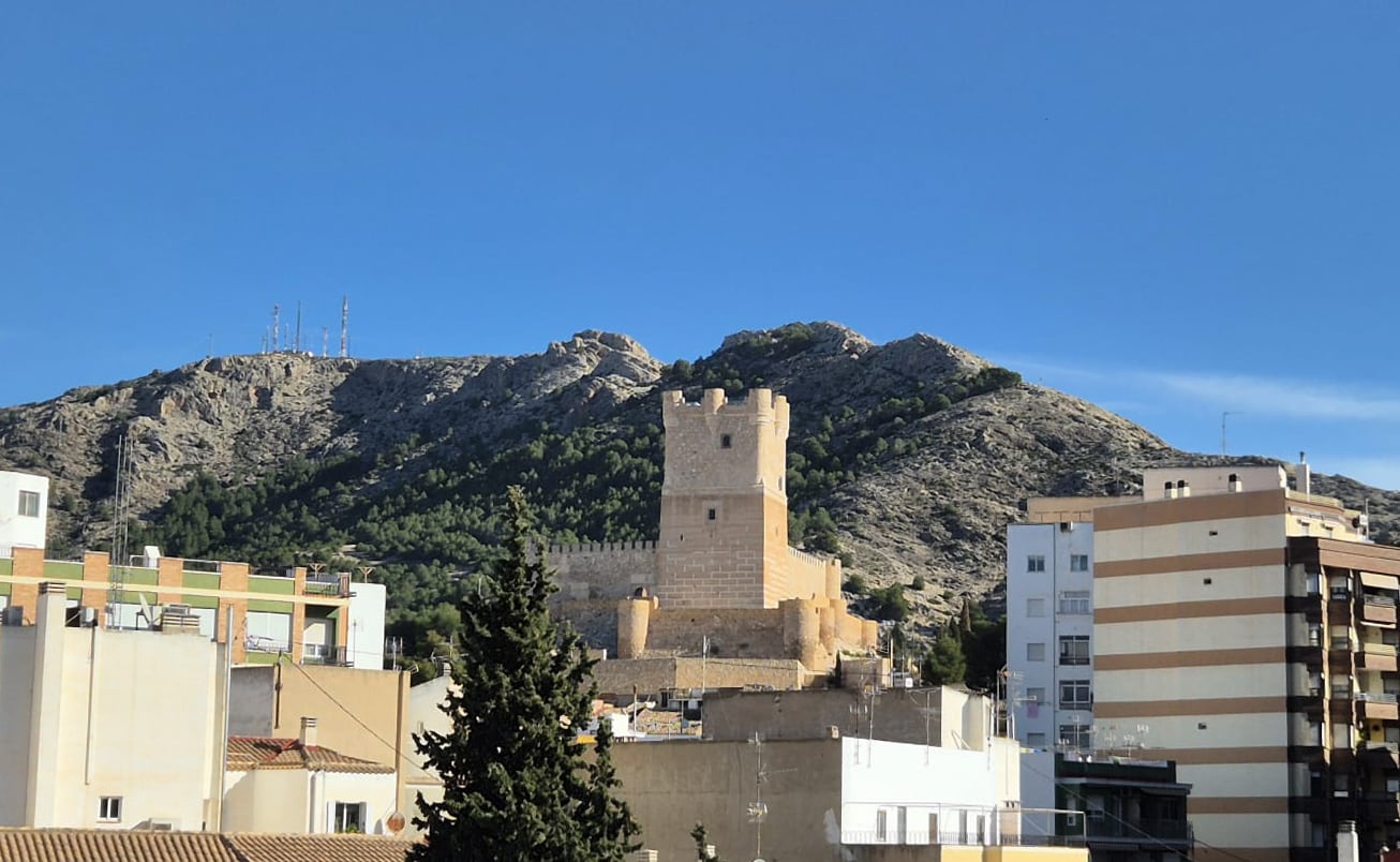 Castillo, visto desde el Hogar Residencia de ancianos