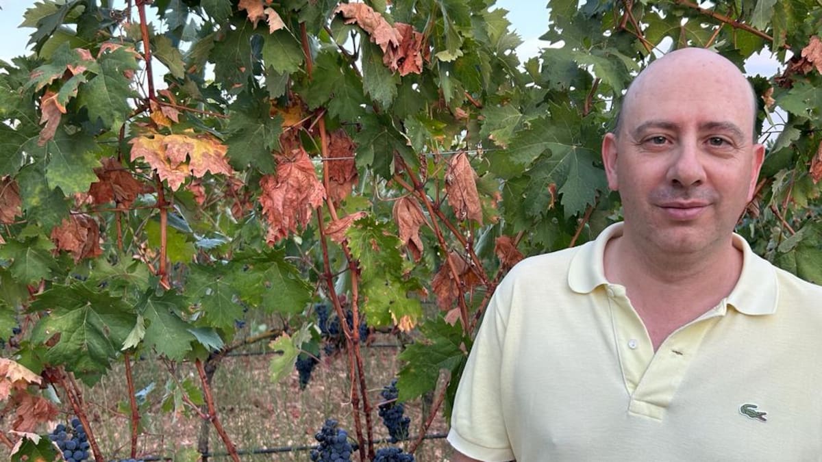 Comentario David Herrero diciembre 2023