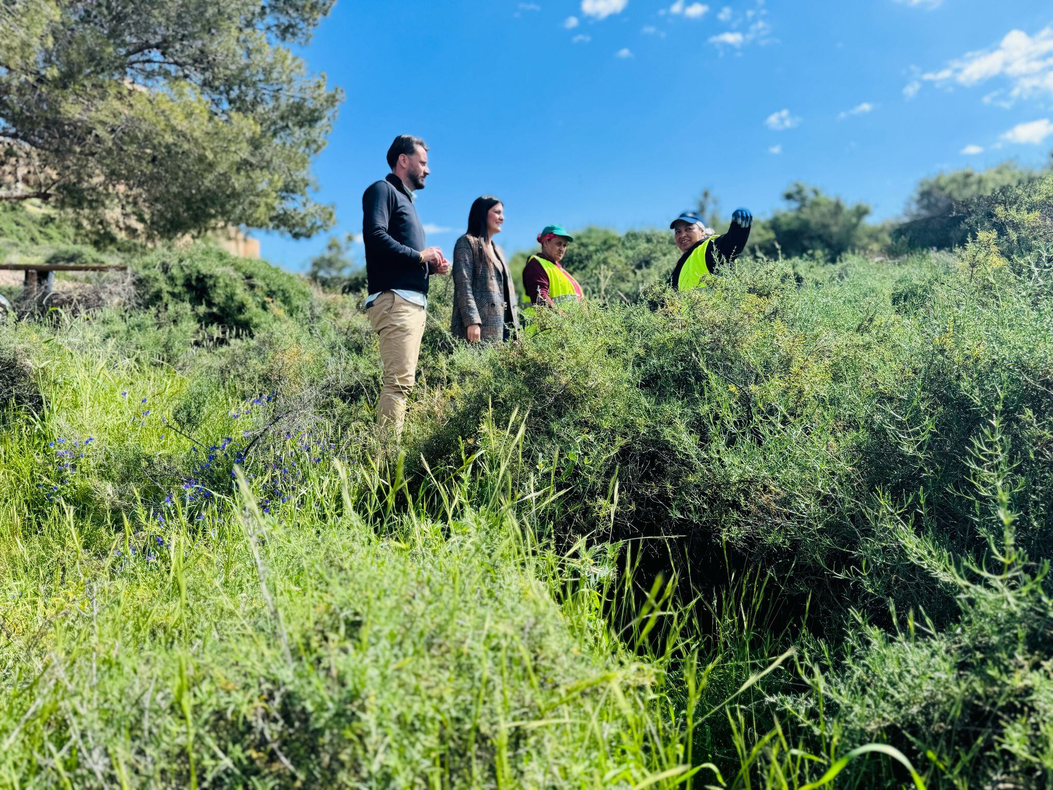 Más vegetación en las inmediaciones del Castillo de Lorca.