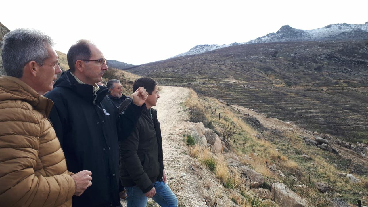 Representantes de las diferentes administraciones supervisando el inicio de las tareas de reforestación