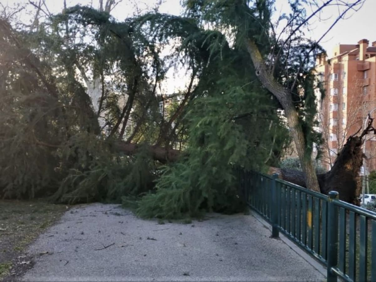 Se mantiene el aviso amarillo por viento y El Retiro permanece cerrado