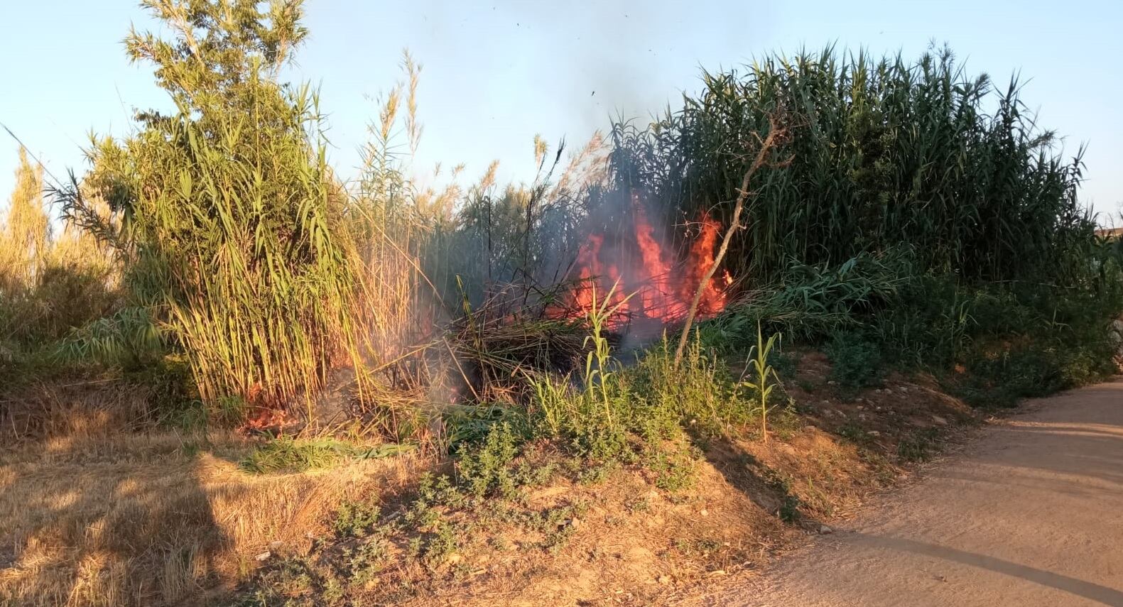 Un dels incendis de Palafrugell