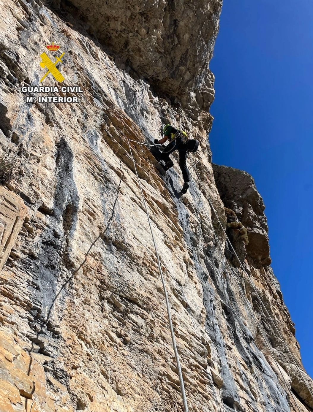 Los GREIM en el momento de llegar al nido