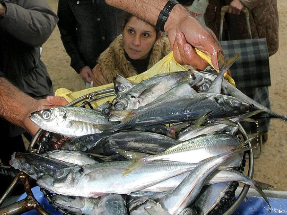 El cerco inicia un amarre indefinido