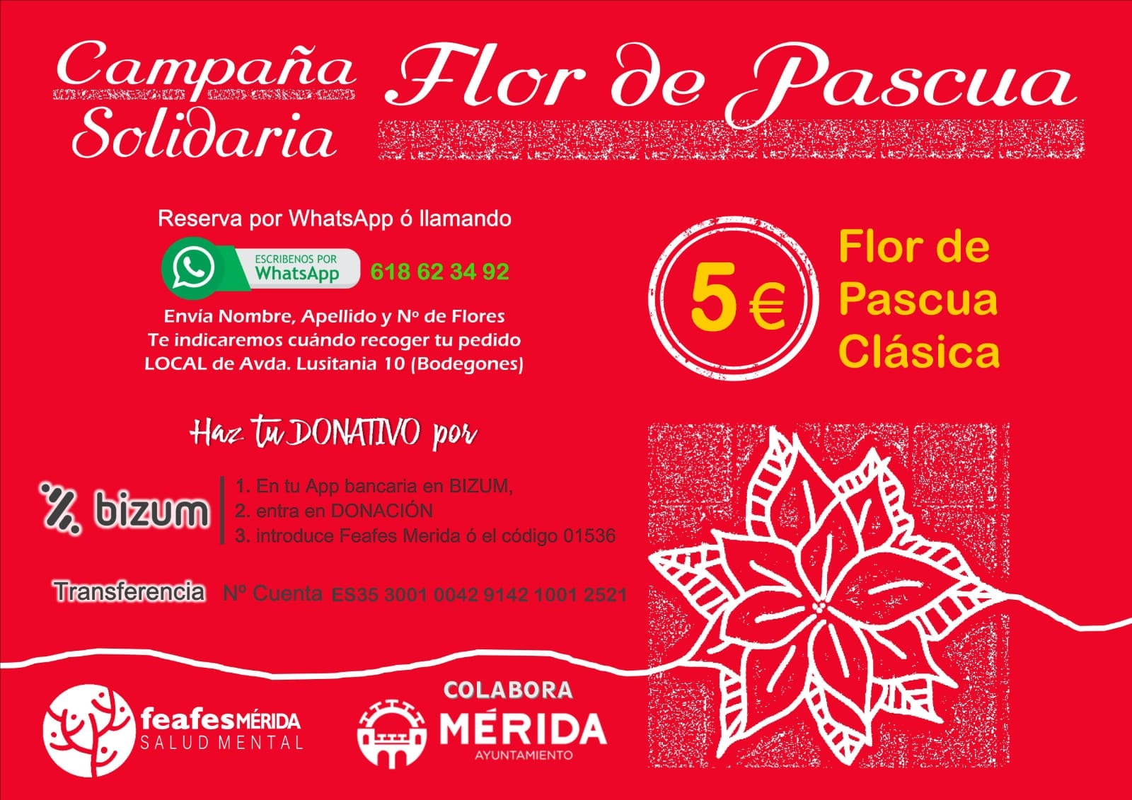 Campaña Flor de Pascua FEAFES