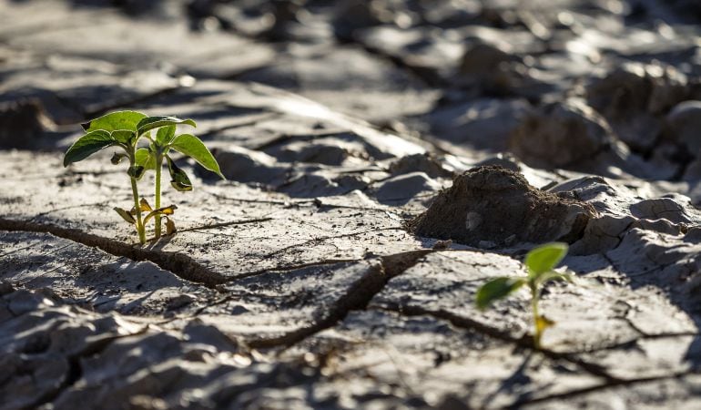 La vida podría haber comenzado en tierra firme.