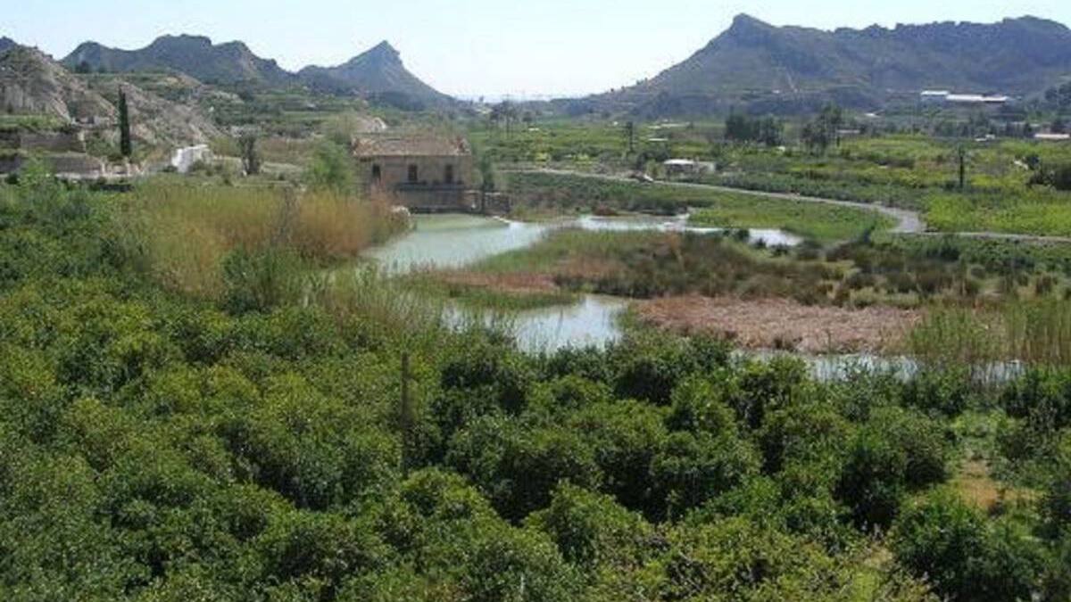 'Trotamundos Zielinski' pasea por el Valle de Ricote