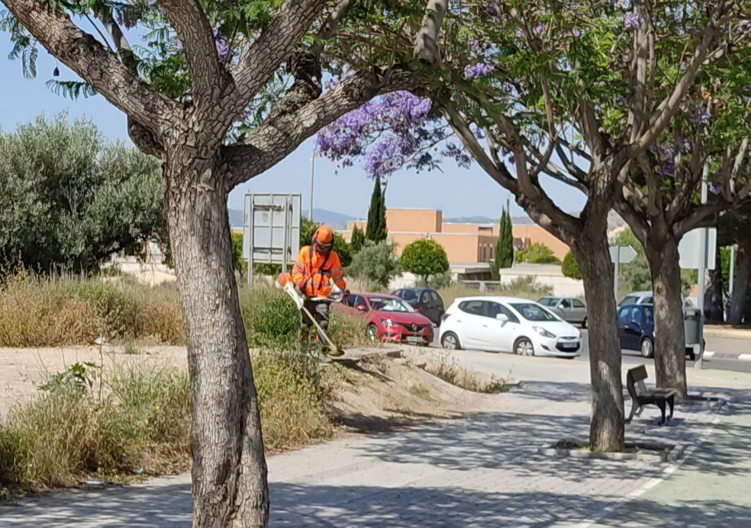 Petrer acomete una actuación en solares y caminos de titularidad municipal