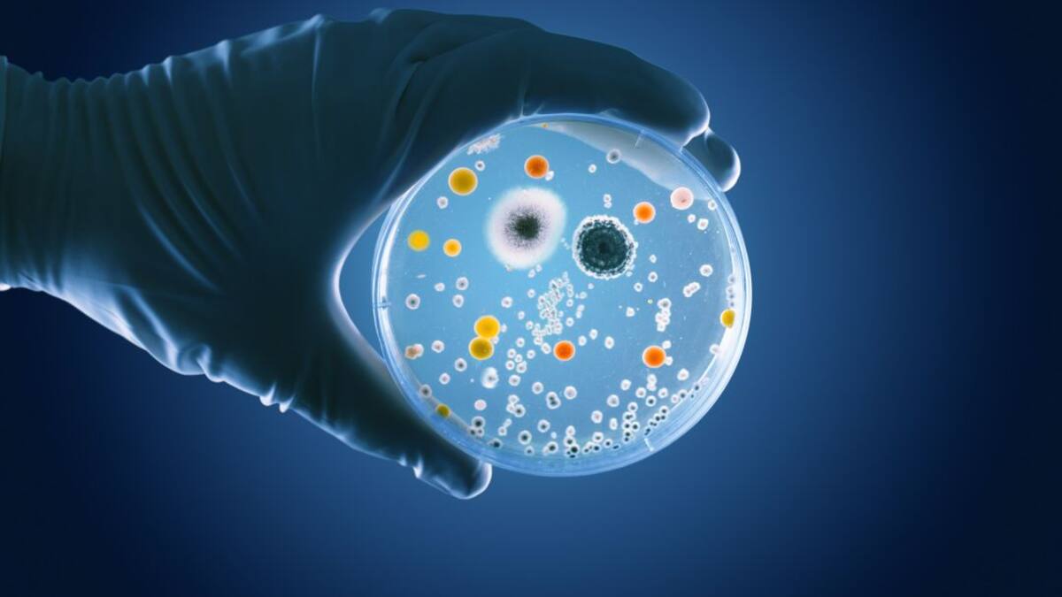 ¿Por qué la covid-19 puede causar diarreas y vómitos?