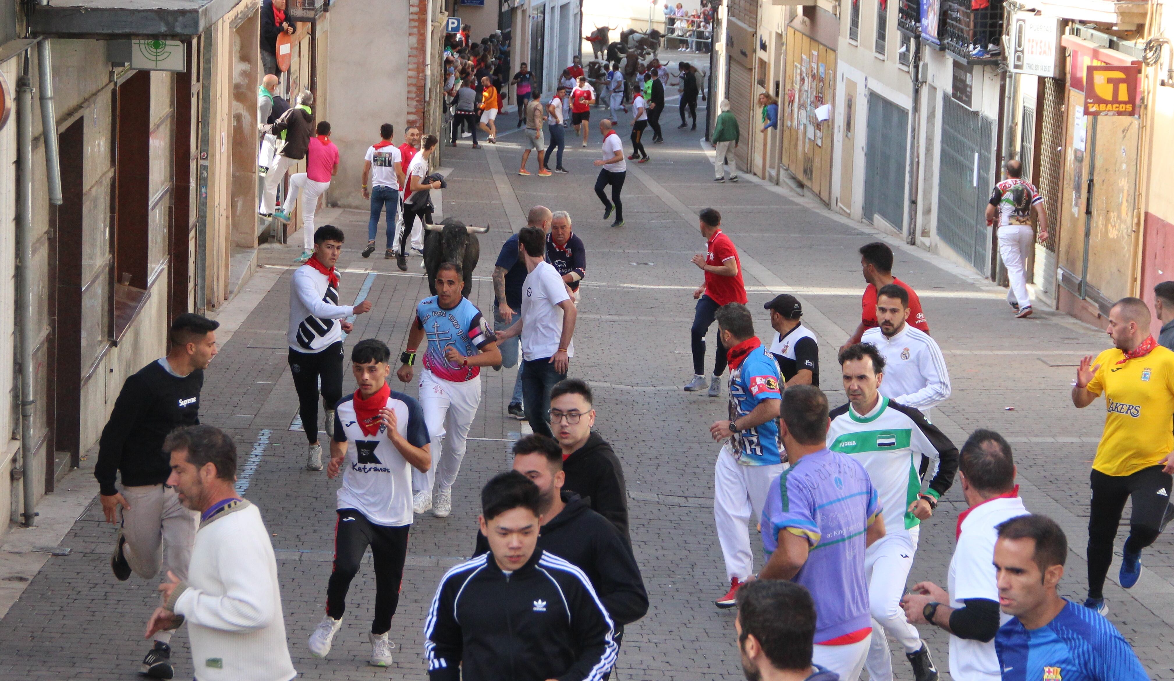 Las reses de Fuente Ymbro ascienden por la calle Parras de Cuéllar