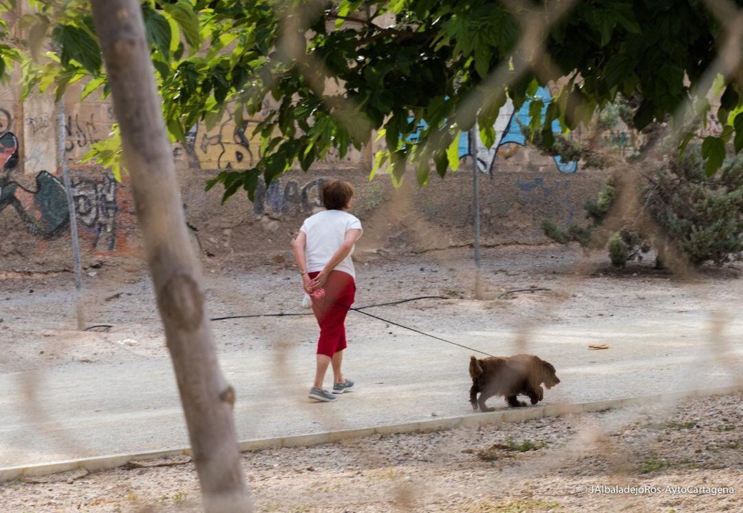 Una mujer paseando al perro por Sevilla