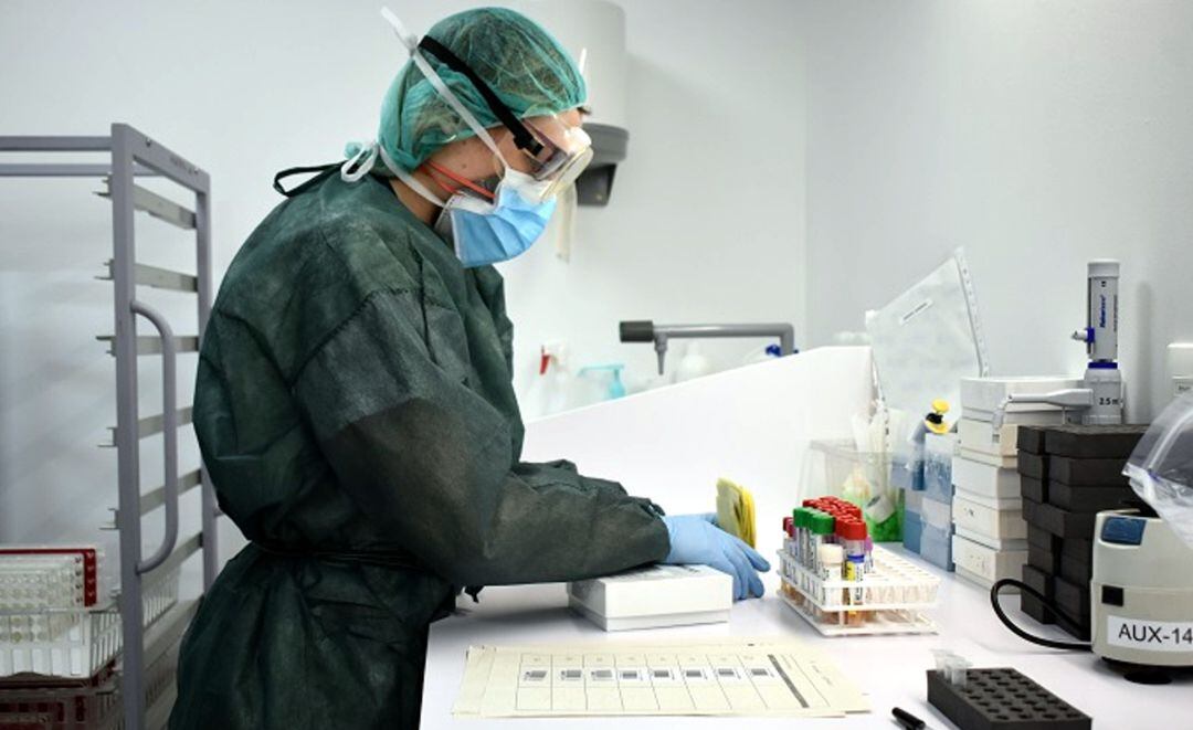 Un profesional sanitario analiza unas muestras de Covid-19.