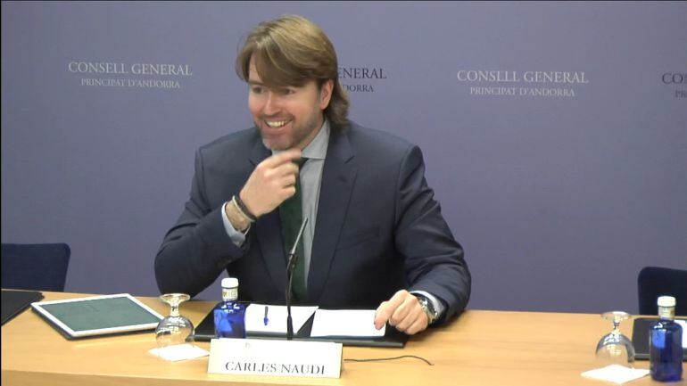 El conseller independent de la Massana al grup mixt, Carles Naudi.