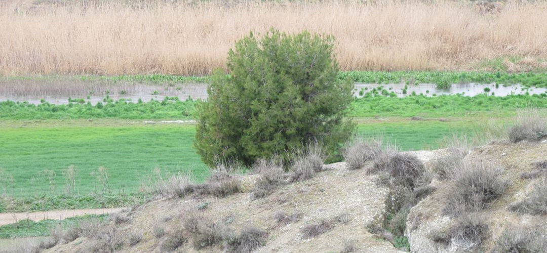 El parque regional del sureste cuenta con zonas de reserva natural con una especial protección legal