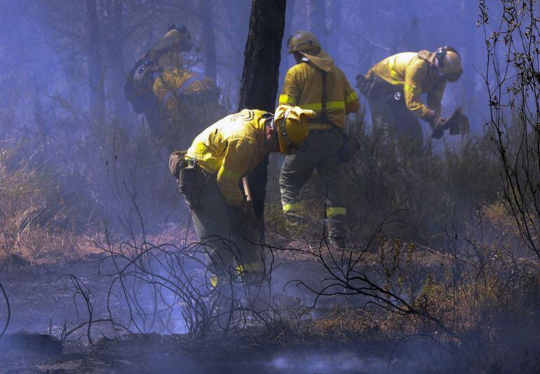 Personal del Infoca actuando en el Incendio 