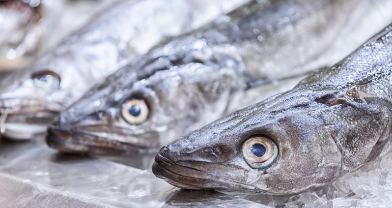 Ejemplares de merluza fresca a la venta en una pescadería