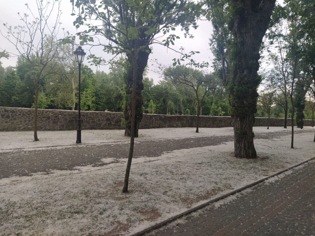 Recinto de El Parral cubierto de las pelusas de los chopos en esta época