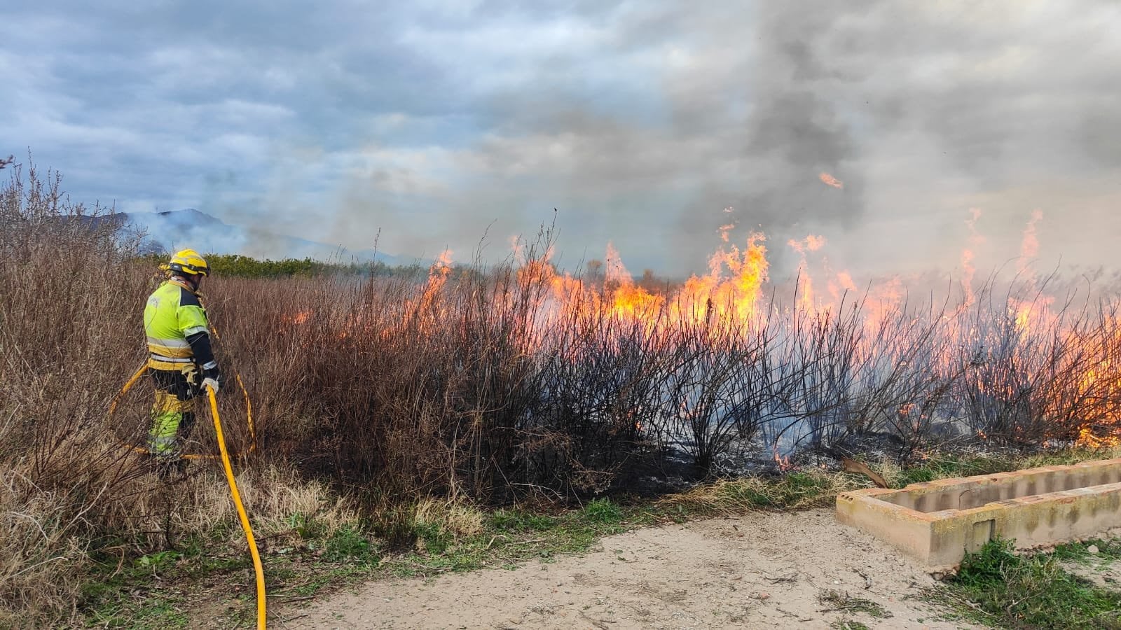 Incendio forestal en Sagunt (Valencia) declarado este miércoles por la tarde