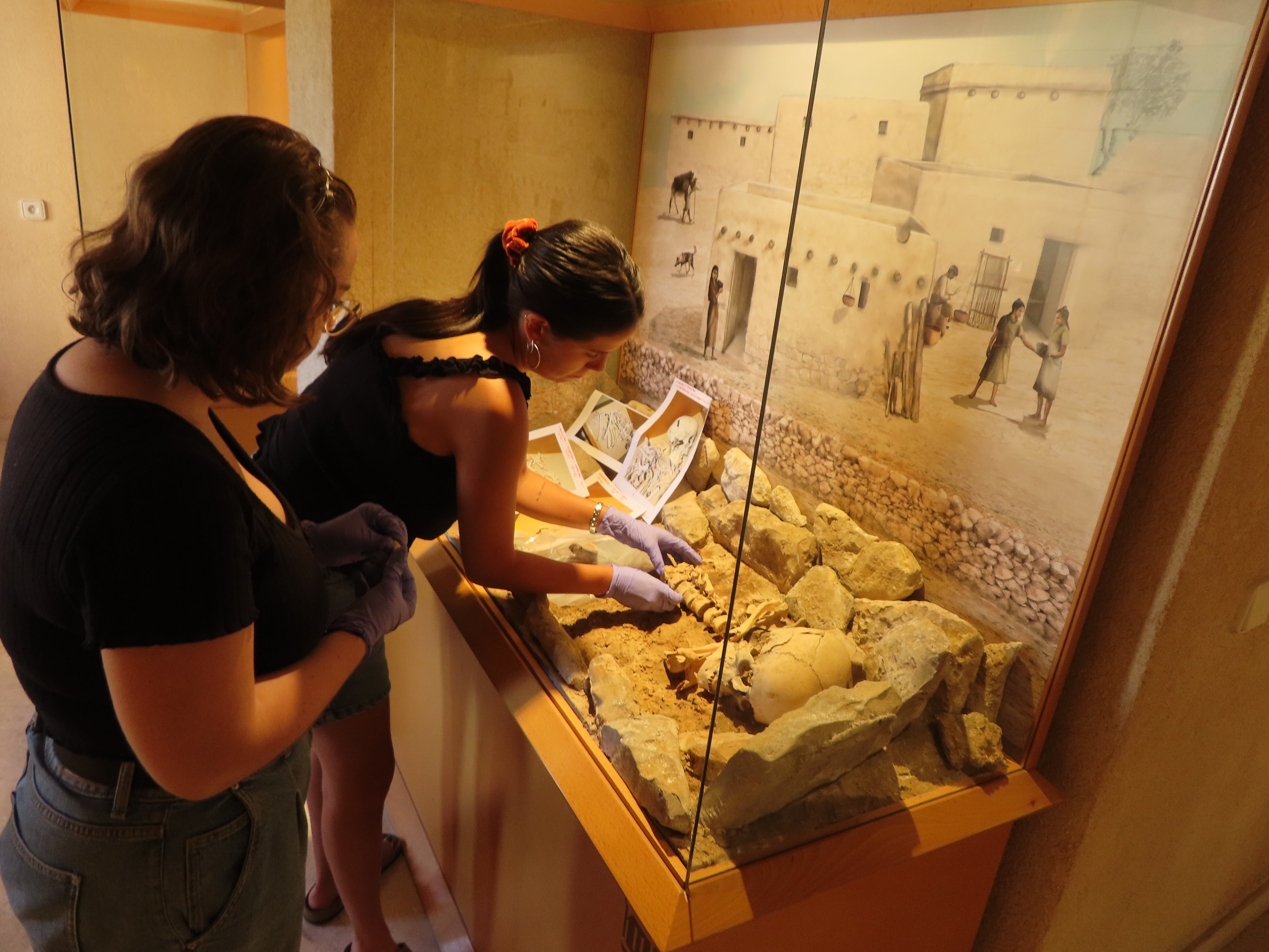 El montaje de una de las vitrinas que se ha mejorado en el Museu Arqueològic Camilo Visedo d'Alcoi.