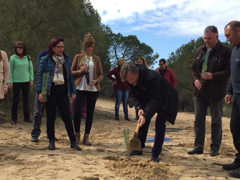 El consejero, José Fiscal, en la reforestación en la Laguna de El Portil.