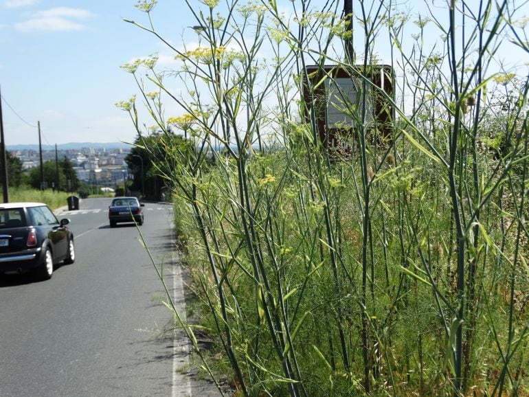 Cartel de bienvenida a Lugo, ilegible en la Rúa Santiago.