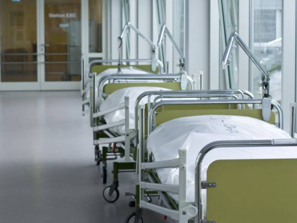 El CSIF pide cubrir bajas en el Dr. Moliner y recuperar el autobús