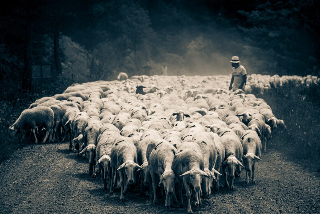 Habrá actividades orientadas divulgar las prácticas de la ganadería extensiva que se realizan en la localidad y el valor de los productos que genera