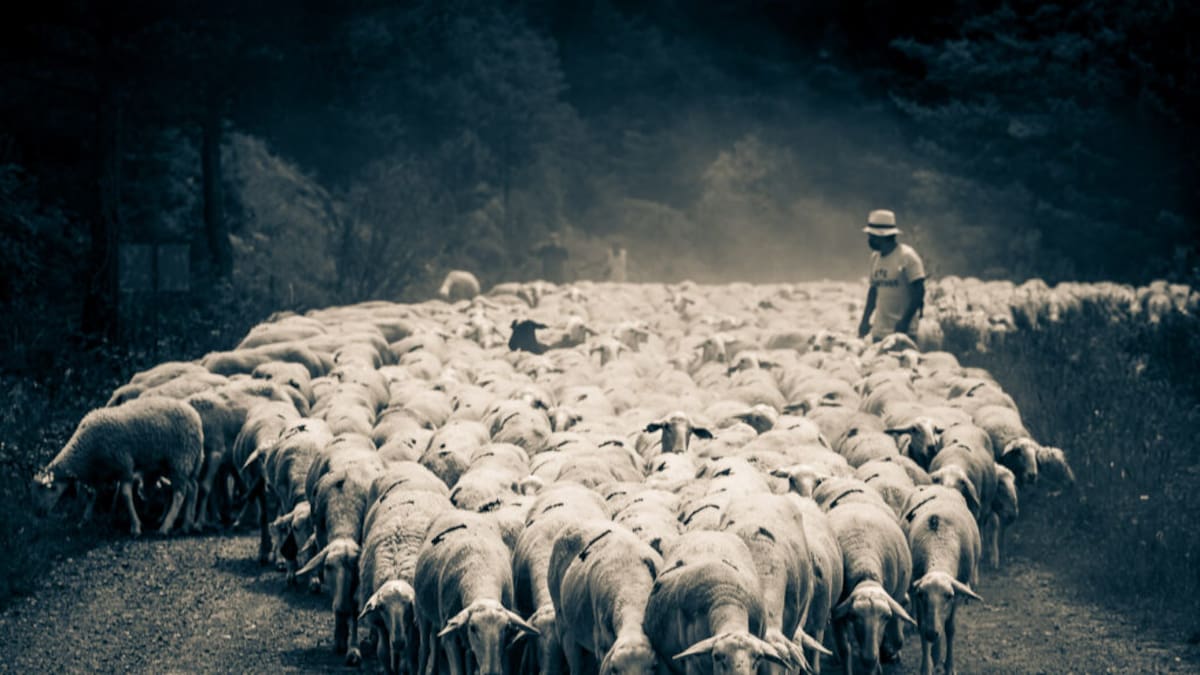 Proyecto "Beep", 2º Capítulo