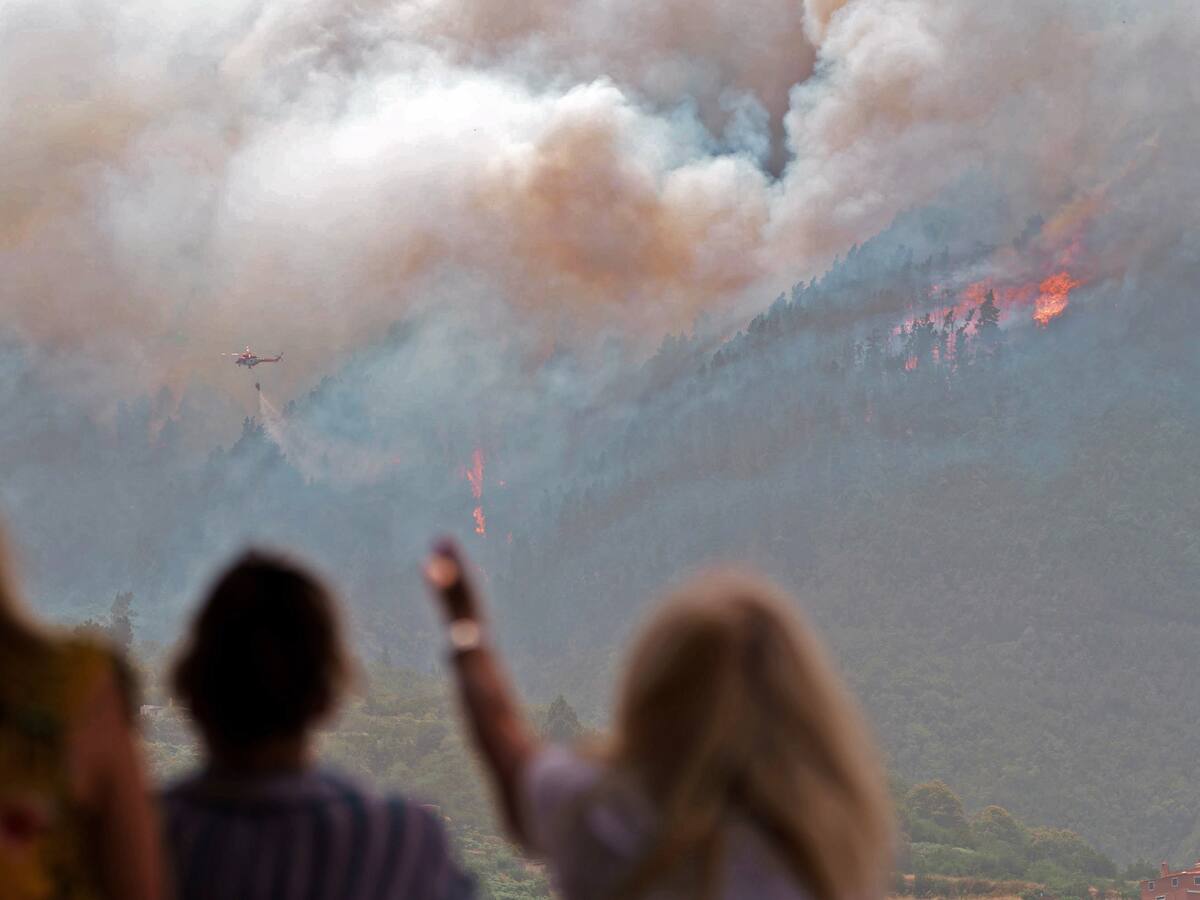 Radiografía de los incendios activos en España: el fuego en Tenerife obliga a desalojar a medio millar de personas