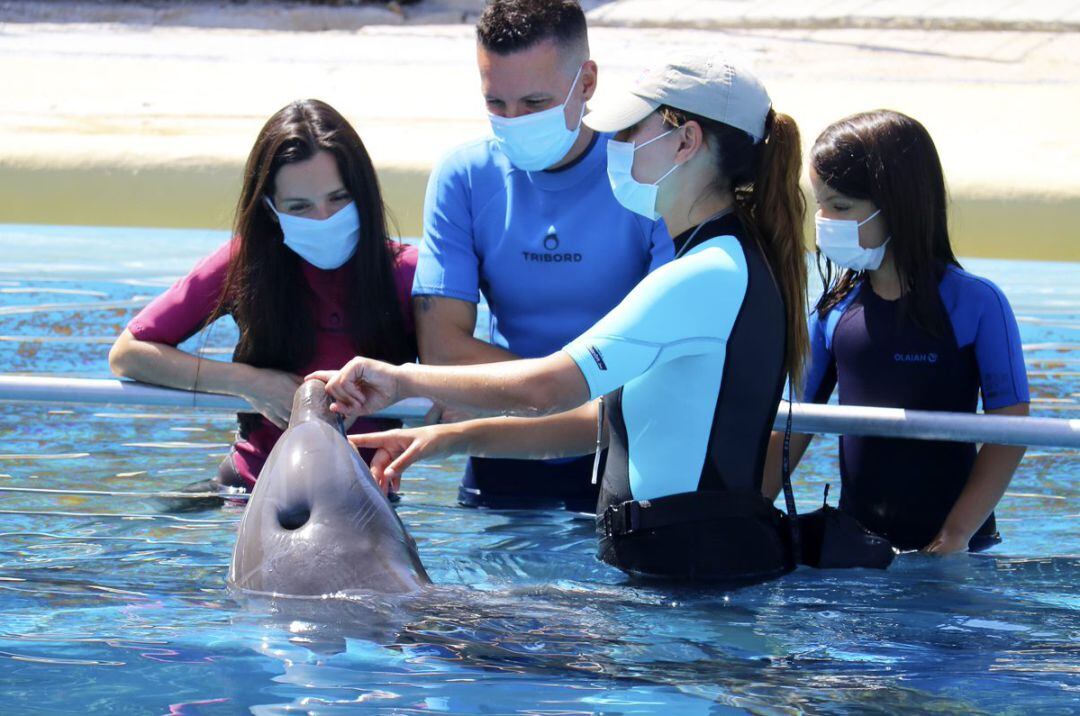 Imágenes con todas las medidas de seguridad antiCovid