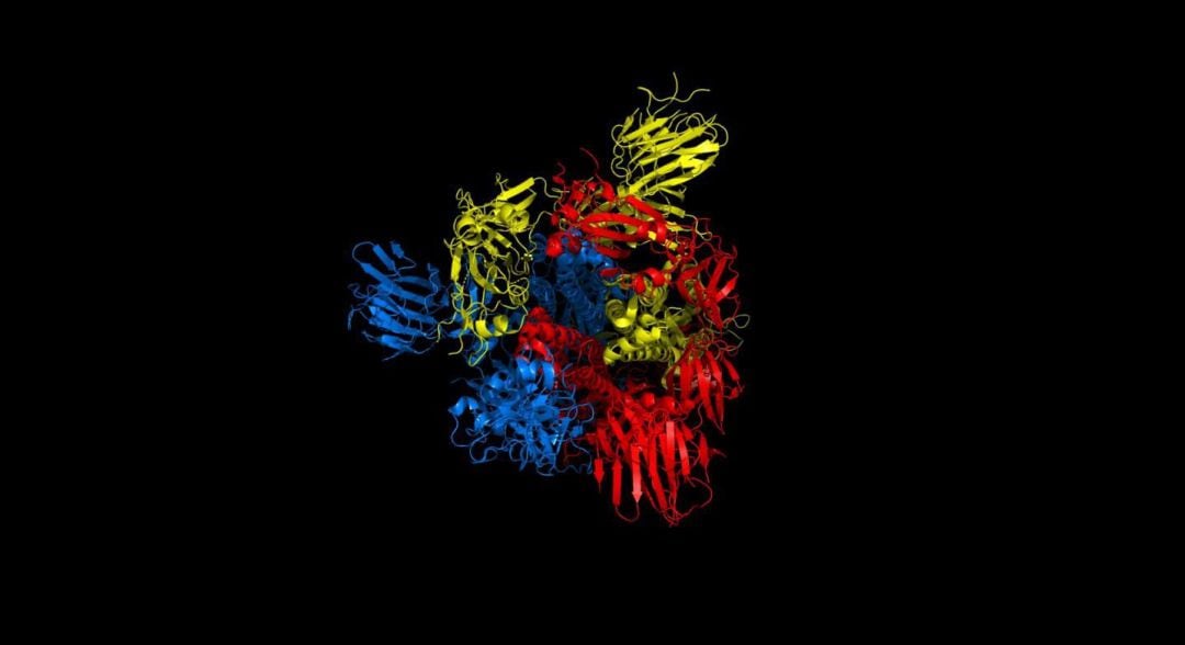 La pérdida de biodiversidad facilita que los virus como el SARS-Cov-2 salten de una especie a otra