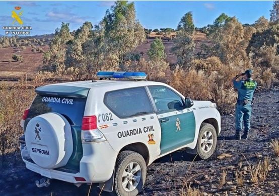 La Guardia Civil investiga a un agricultor por un incendio que quemó unas 53 hectáreas en una localidad de Tierra de Campos