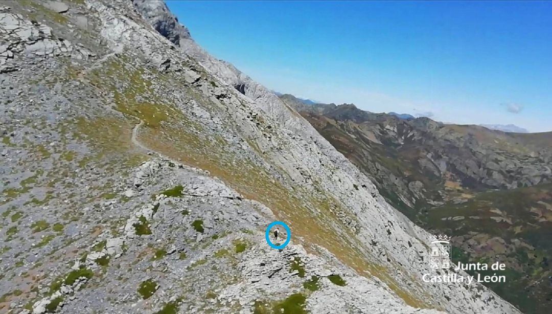 Imagen del joven donde ha sido localizado para su rescate