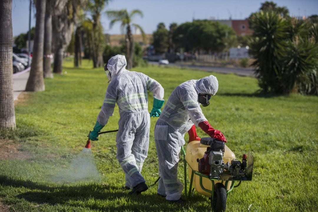 Archivo - Fumigaciones contra los mosquitos para impedir la propagación del Virus del Nilo Occidental