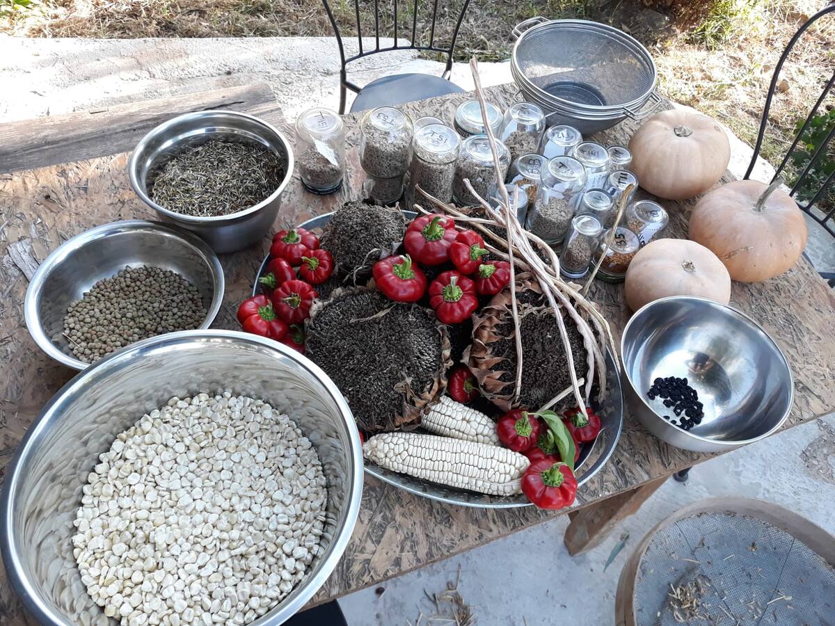 Entrevista a Rafael García Sarrión, miembro de la Red Murciana de Semillas (VII Encuentro Semillas Tradicionales en Cieza)