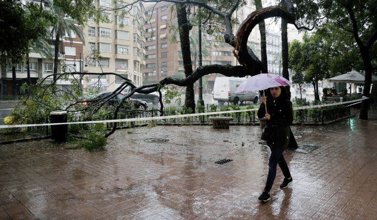 GRA010. VALENCIA, 02/11/2015.- Las fuertes lluvias caídas durante la pasada noche, de hasta 138 litros por metro cuadrado, y los fuertes vientos han derribado árboles y han complicado el tráfico en las carreteras de la Comunitat Valenciana, aunque no se han registrado daños personales. EFE/Juan Carlos Cárdenas