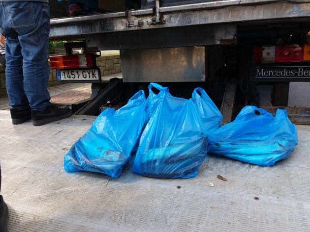 Bolsas de xarda repartidas esta mañana en Ovieddo