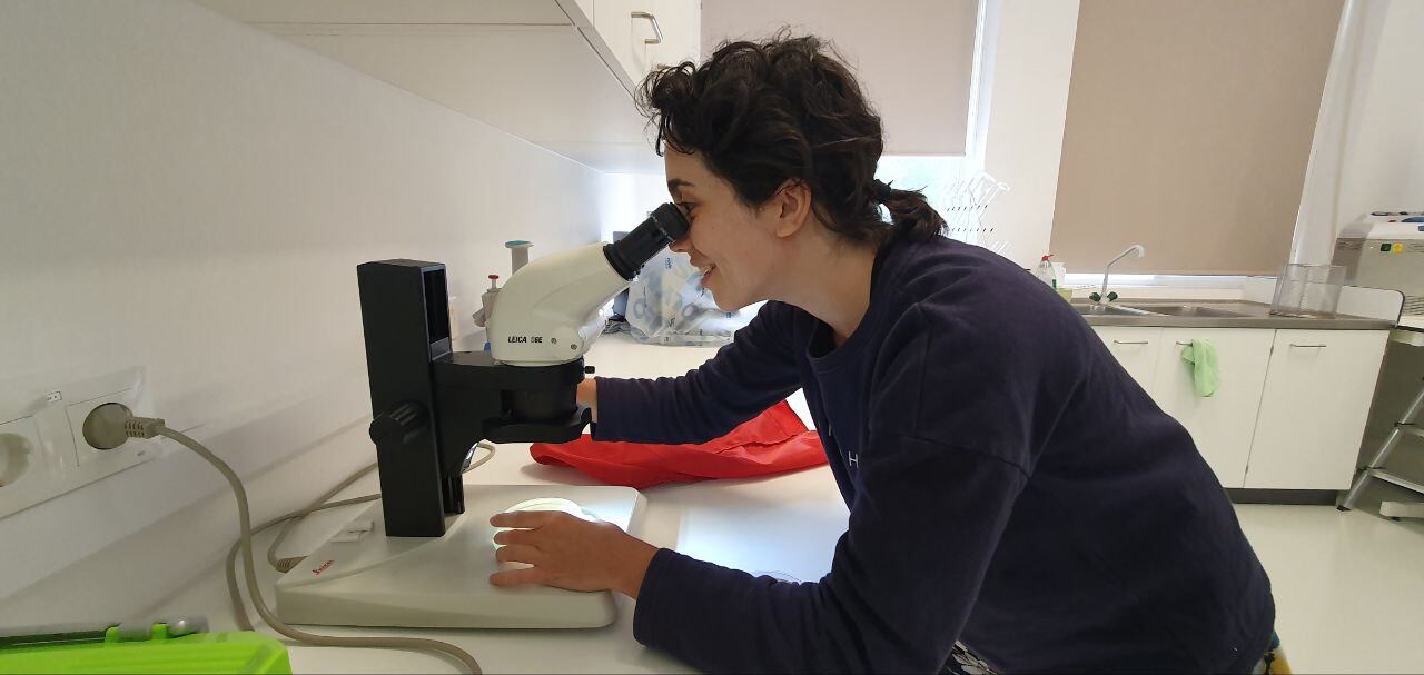 María Díaz, investigadora de la Misión Biolóxica de Galicia analiza un hongo en el laboratorio