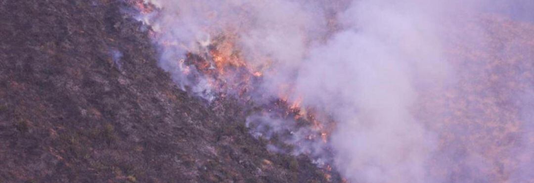 Incendio en Saviñao, Lugo