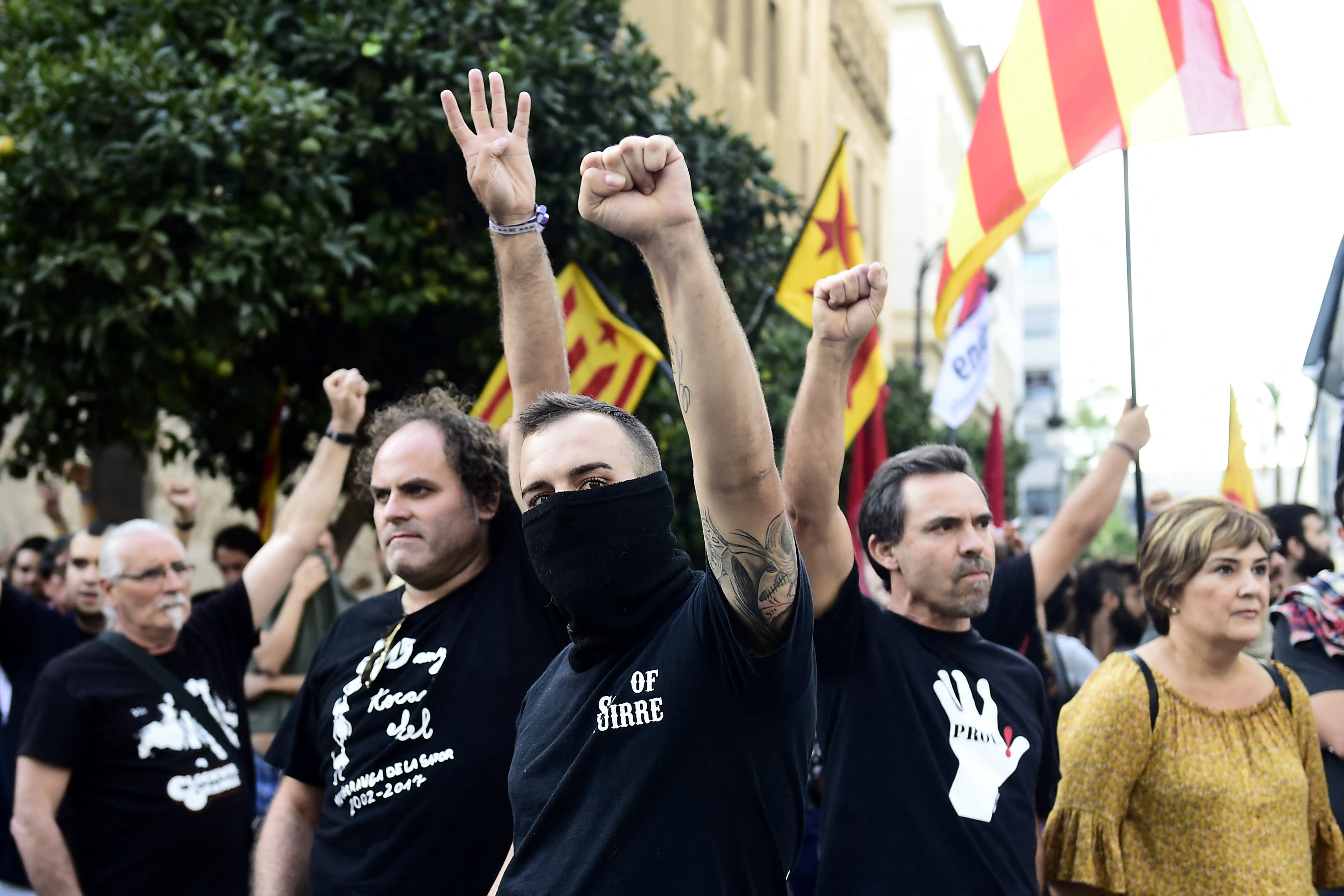 Un grupo de fascistas agrede a manifestantes y periodistas en la marcha del 9 d&#039;Octubre de 2017 en València.