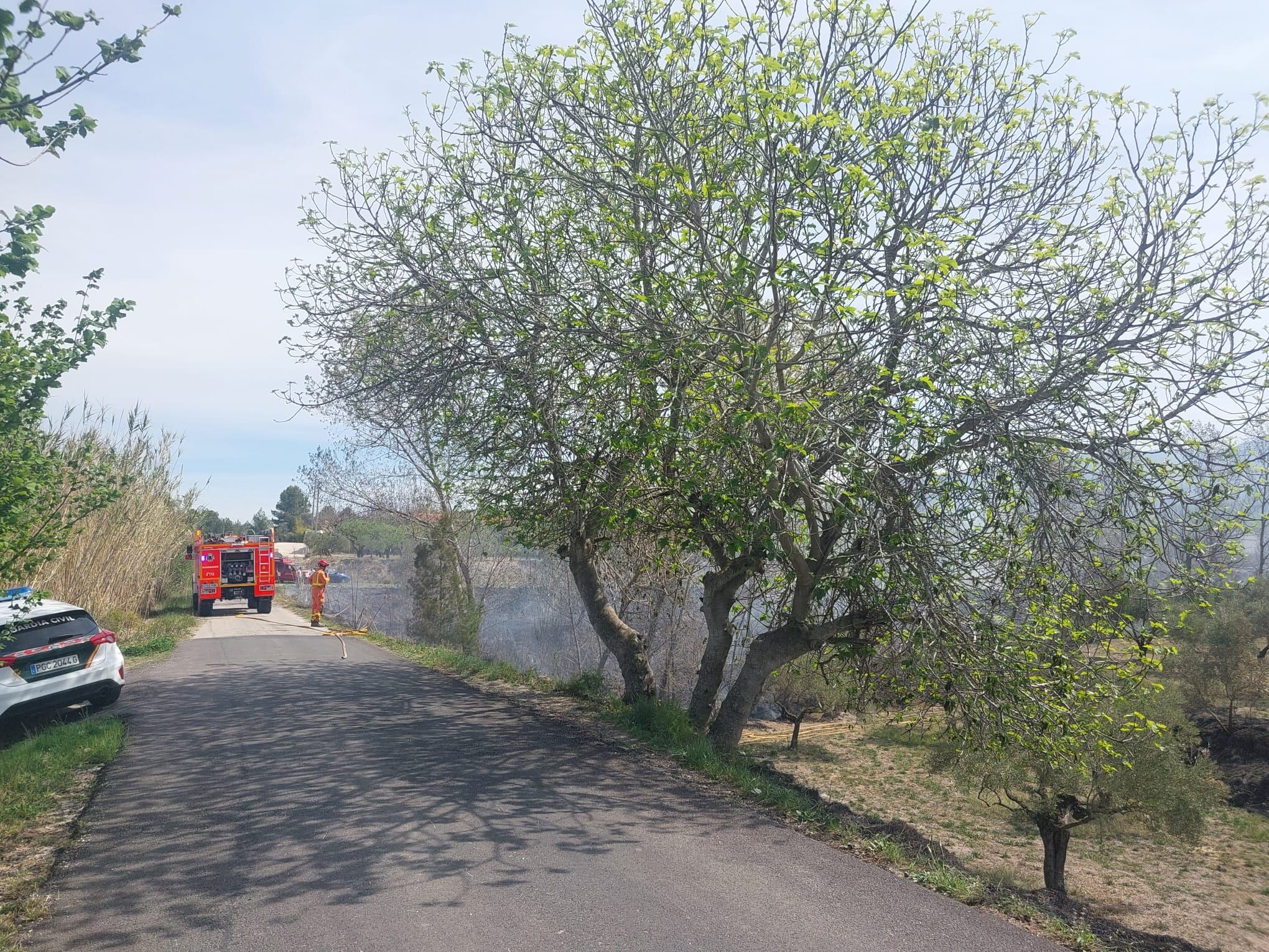 Incendi forestal a Bocairent