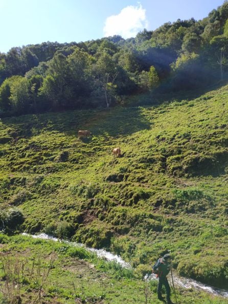 Paraje montañoso en el municipio de Barjas